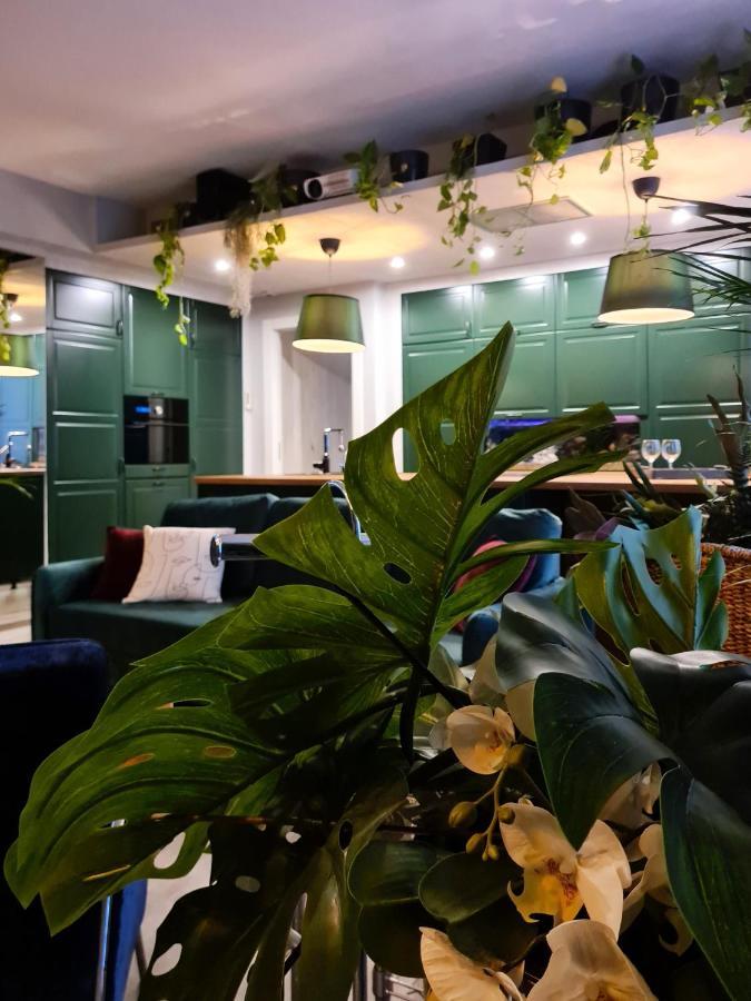 Serendipity Apartments - Montenapoleone ميلان المظهر الخارجي الصورة