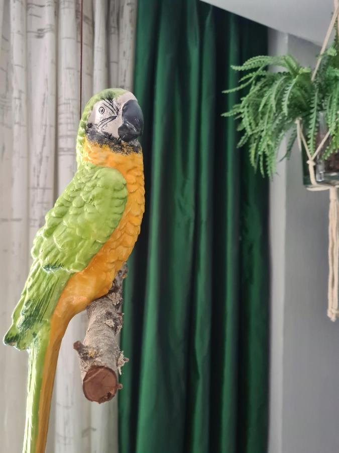 Serendipity Apartments - Montenapoleone ميلان المظهر الخارجي الصورة